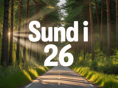 asfaltvej igennem skov sollys gennem træerne